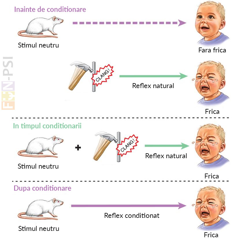 conditionare_clasica