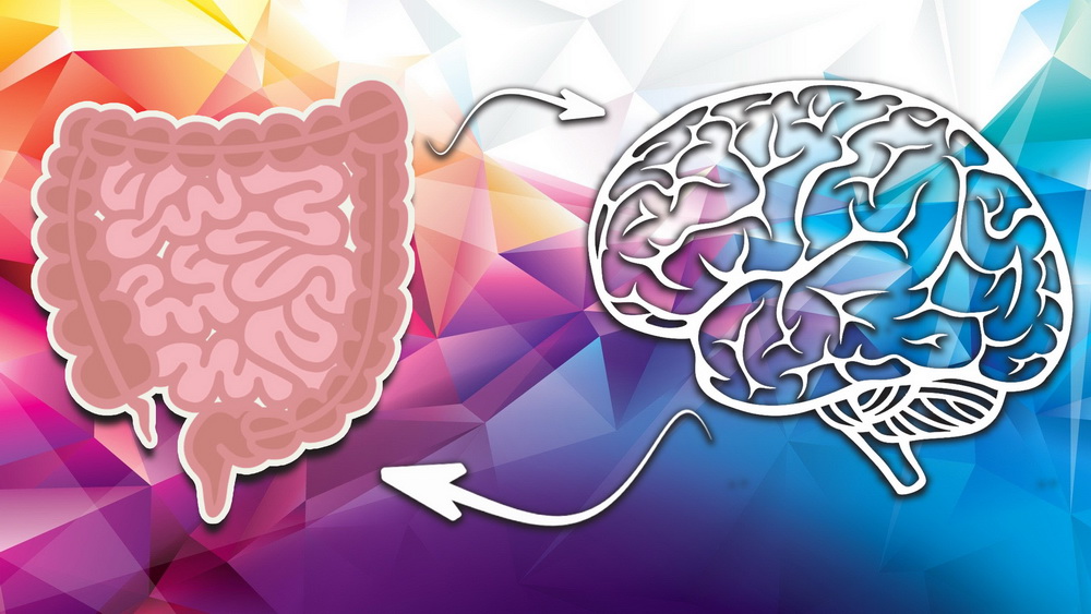 Alzheimer si dementa vasculara