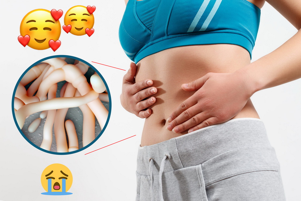 microflora_intestinala_res