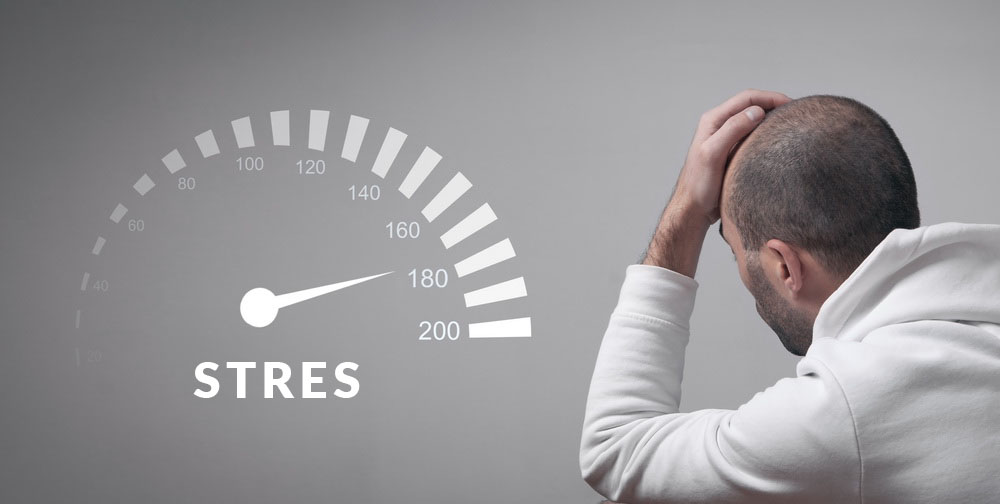 stres_resize_1.jpg